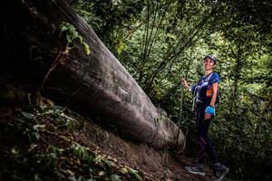 BIB: 
                            <button type="button" onclick="openModal(13524078)" class="btn btn-primary btn-sm float-right btn-popup" data-toggle="modal" data-target=".modal-high-quality">
                        <i class="fas fa-shopping-cart"></i> Add to Cart
                    </button>
                                            <button type="button" onclick="isThisMe(13524078, true)" class="btn btn-success btn-sm float-right btn-popup btn-isme hidden" data-toggle="tooltip" data-placement="bottom" title="นี่คือรูปของคุณใช่ไหม คลิกที่นี่เพื่อเอาเข้าอัลบั้ม">
                        <i class="fas fa-plus"></i> Add to album
                    </button>
                    <button type="button" onclick="isThisMe(13524078, false)" class="btn btn-warning btn-sm float-right btn-popup btn-isnotme hidden">
                        <i class="fas fa-ban"></i> Remove from album
                    </button>