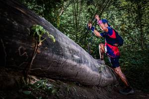 BIB: 
                            <button type="button" onclick="openModal(13519914)" class="btn btn-primary btn-sm float-right btn-popup" data-toggle="modal" data-target=".modal-high-quality">
                        <i class="fas fa-shopping-cart"></i> Add to Cart
                    </button>
                                            <button type="button" onclick="isThisMe(13519914, true)" class="btn btn-success btn-sm float-right btn-popup btn-isme hidden" data-toggle="tooltip" data-placement="bottom" title="นี่คือรูปของคุณใช่ไหม คลิกที่นี่เพื่อเอาเข้าอัลบั้ม">
                        <i class="fas fa-plus"></i> Add to album
                    </button>
                    <button type="button" onclick="isThisMe(13519914, false)" class="btn btn-warning btn-sm float-right btn-popup btn-isnotme hidden">
                        <i class="fas fa-ban"></i> Remove from album
                    </button>