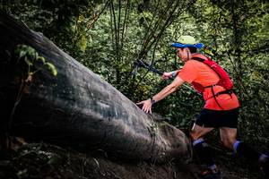 BIB: 
                            <button type="button" onclick="openModal(13523548)" class="btn btn-primary btn-sm float-right btn-popup" data-toggle="modal" data-target=".modal-high-quality">
                        <i class="fas fa-shopping-cart"></i> Add to Cart
                    </button>
                                            <button type="button" onclick="isThisMe(13523548, true)" class="btn btn-success btn-sm float-right btn-popup btn-isme hidden" data-toggle="tooltip" data-placement="bottom" title="นี่คือรูปของคุณใช่ไหม คลิกที่นี่เพื่อเอาเข้าอัลบั้ม">
                        <i class="fas fa-plus"></i> Add to album
                    </button>
                    <button type="button" onclick="isThisMe(13523548, false)" class="btn btn-warning btn-sm float-right btn-popup btn-isnotme hidden">
                        <i class="fas fa-ban"></i> Remove from album
                    </button>