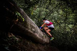 BIB: 
                            <button type="button" onclick="openModal(13525461)" class="btn btn-primary btn-sm float-right btn-popup" data-toggle="modal" data-target=".modal-high-quality">
                        <i class="fas fa-shopping-cart"></i> Add to Cart
                    </button>
                                            <button type="button" onclick="isThisMe(13525461, true)" class="btn btn-success btn-sm float-right btn-popup btn-isme hidden" data-toggle="tooltip" data-placement="bottom" title="นี่คือรูปของคุณใช่ไหม คลิกที่นี่เพื่อเอาเข้าอัลบั้ม">
                        <i class="fas fa-plus"></i> Add to album
                    </button>
                    <button type="button" onclick="isThisMe(13525461, false)" class="btn btn-warning btn-sm float-right btn-popup btn-isnotme hidden">
                        <i class="fas fa-ban"></i> Remove from album
                    </button>