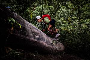 BIB: 
                            <button type="button" onclick="openModal(13525385)" class="btn btn-primary btn-sm float-right btn-popup" data-toggle="modal" data-target=".modal-high-quality">
                        <i class="fas fa-shopping-cart"></i> Add to Cart
                    </button>
                                            <button type="button" onclick="isThisMe(13525385, true)" class="btn btn-success btn-sm float-right btn-popup btn-isme hidden" data-toggle="tooltip" data-placement="bottom" title="นี่คือรูปของคุณใช่ไหม คลิกที่นี่เพื่อเอาเข้าอัลบั้ม">
                        <i class="fas fa-plus"></i> Add to album
                    </button>
                    <button type="button" onclick="isThisMe(13525385, false)" class="btn btn-warning btn-sm float-right btn-popup btn-isnotme hidden">
                        <i class="fas fa-ban"></i> Remove from album
                    </button>