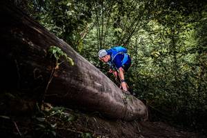 BIB: 
                            <button type="button" onclick="openModal(13523316)" class="btn btn-primary btn-sm float-right btn-popup" data-toggle="modal" data-target=".modal-high-quality">
                        <i class="fas fa-shopping-cart"></i> Add to Cart
                    </button>
                                            <button type="button" onclick="isThisMe(13523316, true)" class="btn btn-success btn-sm float-right btn-popup btn-isme hidden" data-toggle="tooltip" data-placement="bottom" title="นี่คือรูปของคุณใช่ไหม คลิกที่นี่เพื่อเอาเข้าอัลบั้ม">
                        <i class="fas fa-plus"></i> Add to album
                    </button>
                    <button type="button" onclick="isThisMe(13523316, false)" class="btn btn-warning btn-sm float-right btn-popup btn-isnotme hidden">
                        <i class="fas fa-ban"></i> Remove from album
                    </button>