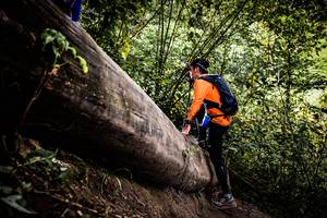 BIB: 
                            <button type="button" onclick="openModal(13525880)" class="btn btn-primary btn-sm float-right btn-popup" data-toggle="modal" data-target=".modal-high-quality">
                        <i class="fas fa-shopping-cart"></i> Add to Cart
                    </button>
                                            <button type="button" onclick="isThisMe(13525880, true)" class="btn btn-success btn-sm float-right btn-popup btn-isme hidden" data-toggle="tooltip" data-placement="bottom" title="นี่คือรูปของคุณใช่ไหม คลิกที่นี่เพื่อเอาเข้าอัลบั้ม">
                        <i class="fas fa-plus"></i> Add to album
                    </button>
                    <button type="button" onclick="isThisMe(13525880, false)" class="btn btn-warning btn-sm float-right btn-popup btn-isnotme hidden">
                        <i class="fas fa-ban"></i> Remove from album
                    </button>