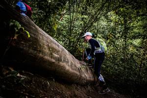 BIB: 
                            <button type="button" onclick="openModal(13525635)" class="btn btn-primary btn-sm float-right btn-popup" data-toggle="modal" data-target=".modal-high-quality">
                        <i class="fas fa-shopping-cart"></i> Add to Cart
                    </button>
                                            <button type="button" onclick="isThisMe(13525635, true)" class="btn btn-success btn-sm float-right btn-popup btn-isme hidden" data-toggle="tooltip" data-placement="bottom" title="นี่คือรูปของคุณใช่ไหม คลิกที่นี่เพื่อเอาเข้าอัลบั้ม">
                        <i class="fas fa-plus"></i> Add to album
                    </button>
                    <button type="button" onclick="isThisMe(13525635, false)" class="btn btn-warning btn-sm float-right btn-popup btn-isnotme hidden">
                        <i class="fas fa-ban"></i> Remove from album
                    </button>