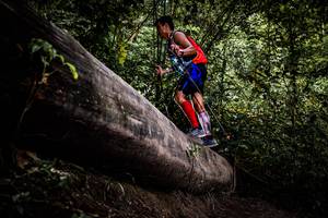 BIB: 
                            <button type="button" onclick="openModal(13525274)" class="btn btn-primary btn-sm float-right btn-popup" data-toggle="modal" data-target=".modal-high-quality">
                        <i class="fas fa-shopping-cart"></i> Add to Cart
                    </button>
                                            <button type="button" onclick="isThisMe(13525274, true)" class="btn btn-success btn-sm float-right btn-popup btn-isme hidden" data-toggle="tooltip" data-placement="bottom" title="นี่คือรูปของคุณใช่ไหม คลิกที่นี่เพื่อเอาเข้าอัลบั้ม">
                        <i class="fas fa-plus"></i> Add to album
                    </button>
                    <button type="button" onclick="isThisMe(13525274, false)" class="btn btn-warning btn-sm float-right btn-popup btn-isnotme hidden">
                        <i class="fas fa-ban"></i> Remove from album
                    </button>