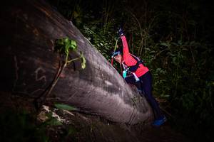 BIB: 
                            <button type="button" onclick="openModal(13518220)" class="btn btn-primary btn-sm float-right btn-popup" data-toggle="modal" data-target=".modal-high-quality">
                        <i class="fas fa-shopping-cart"></i> Add to Cart
                    </button>
                                            <button type="button" onclick="isThisMe(13518220, true)" class="btn btn-success btn-sm float-right btn-popup btn-isme hidden" data-toggle="tooltip" data-placement="bottom" title="นี่คือรูปของคุณใช่ไหม คลิกที่นี่เพื่อเอาเข้าอัลบั้ม">
                        <i class="fas fa-plus"></i> Add to album
                    </button>
                    <button type="button" onclick="isThisMe(13518220, false)" class="btn btn-warning btn-sm float-right btn-popup btn-isnotme hidden">
                        <i class="fas fa-ban"></i> Remove from album
                    </button>