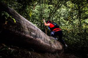 BIB: 
                            <button type="button" onclick="openModal(13525721)" class="btn btn-primary btn-sm float-right btn-popup" data-toggle="modal" data-target=".modal-high-quality">
                        <i class="fas fa-shopping-cart"></i> Add to Cart
                    </button>
                                            <button type="button" onclick="isThisMe(13525721, true)" class="btn btn-success btn-sm float-right btn-popup btn-isme hidden" data-toggle="tooltip" data-placement="bottom" title="นี่คือรูปของคุณใช่ไหม คลิกที่นี่เพื่อเอาเข้าอัลบั้ม">
                        <i class="fas fa-plus"></i> Add to album
                    </button>
                    <button type="button" onclick="isThisMe(13525721, false)" class="btn btn-warning btn-sm float-right btn-popup btn-isnotme hidden">
                        <i class="fas fa-ban"></i> Remove from album
                    </button>