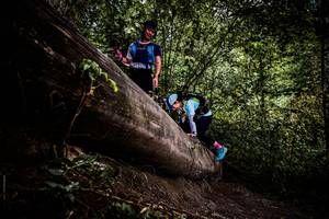 BIB: 
                            <button type="button" onclick="openModal(13525372)" class="btn btn-primary btn-sm float-right btn-popup" data-toggle="modal" data-target=".modal-high-quality">
                        <i class="fas fa-shopping-cart"></i> Add to Cart
                    </button>
                                            <button type="button" onclick="isThisMe(13525372, true)" class="btn btn-success btn-sm float-right btn-popup btn-isme hidden" data-toggle="tooltip" data-placement="bottom" title="นี่คือรูปของคุณใช่ไหม คลิกที่นี่เพื่อเอาเข้าอัลบั้ม">
                        <i class="fas fa-plus"></i> Add to album
                    </button>
                    <button type="button" onclick="isThisMe(13525372, false)" class="btn btn-warning btn-sm float-right btn-popup btn-isnotme hidden">
                        <i class="fas fa-ban"></i> Remove from album
                    </button>