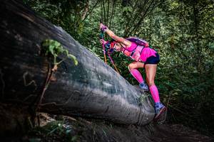 BIB: 
                            <button type="button" onclick="openModal(13519890)" class="btn btn-primary btn-sm float-right btn-popup" data-toggle="modal" data-target=".modal-high-quality">
                        <i class="fas fa-shopping-cart"></i> Add to Cart
                    </button>
                                            <button type="button" onclick="isThisMe(13519890, true)" class="btn btn-success btn-sm float-right btn-popup btn-isme hidden" data-toggle="tooltip" data-placement="bottom" title="นี่คือรูปของคุณใช่ไหม คลิกที่นี่เพื่อเอาเข้าอัลบั้ม">
                        <i class="fas fa-plus"></i> Add to album
                    </button>
                    <button type="button" onclick="isThisMe(13519890, false)" class="btn btn-warning btn-sm float-right btn-popup btn-isnotme hidden">
                        <i class="fas fa-ban"></i> Remove from album
                    </button>