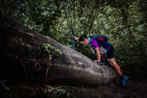 BIB: 
                            <button type="button" onclick="openModal(13522697)" class="btn btn-primary btn-sm float-right btn-popup" data-toggle="modal" data-target=".modal-high-quality">
                        <i class="fas fa-shopping-cart"></i> Add to Cart
                    </button>
                                            <button type="button" onclick="isThisMe(13522697, true)" class="btn btn-success btn-sm float-right btn-popup btn-isme hidden" data-toggle="tooltip" data-placement="bottom" title="นี่คือรูปของคุณใช่ไหม คลิกที่นี่เพื่อเอาเข้าอัลบั้ม">
                        <i class="fas fa-plus"></i> Add to album
                    </button>
                    <button type="button" onclick="isThisMe(13522697, false)" class="btn btn-warning btn-sm float-right btn-popup btn-isnotme hidden">
                        <i class="fas fa-ban"></i> Remove from album
                    </button>