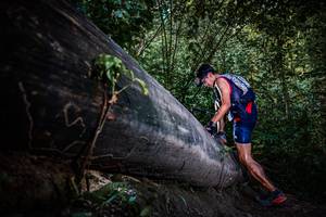 BIB: 
                            <button type="button" onclick="openModal(13519658)" class="btn btn-primary btn-sm float-right btn-popup" data-toggle="modal" data-target=".modal-high-quality">
                        <i class="fas fa-shopping-cart"></i> Add to Cart
                    </button>
                                            <button type="button" onclick="isThisMe(13519658, true)" class="btn btn-success btn-sm float-right btn-popup btn-isme hidden" data-toggle="tooltip" data-placement="bottom" title="นี่คือรูปของคุณใช่ไหม คลิกที่นี่เพื่อเอาเข้าอัลบั้ม">
                        <i class="fas fa-plus"></i> Add to album
                    </button>
                    <button type="button" onclick="isThisMe(13519658, false)" class="btn btn-warning btn-sm float-right btn-popup btn-isnotme hidden">
                        <i class="fas fa-ban"></i> Remove from album
                    </button>