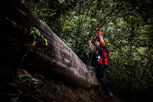 BIB: 
                            <button type="button" onclick="openModal(13525453)" class="btn btn-primary btn-sm float-right btn-popup" data-toggle="modal" data-target=".modal-high-quality">
                        <i class="fas fa-shopping-cart"></i> Add to Cart
                    </button>
                                            <button type="button" onclick="isThisMe(13525453, true)" class="btn btn-success btn-sm float-right btn-popup btn-isme hidden" data-toggle="tooltip" data-placement="bottom" title="นี่คือรูปของคุณใช่ไหม คลิกที่นี่เพื่อเอาเข้าอัลบั้ม">
                        <i class="fas fa-plus"></i> Add to album
                    </button>
                    <button type="button" onclick="isThisMe(13525453, false)" class="btn btn-warning btn-sm float-right btn-popup btn-isnotme hidden">
                        <i class="fas fa-ban"></i> Remove from album
                    </button>