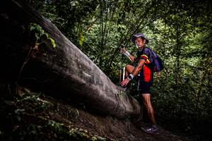 BIB: 
                            <button type="button" onclick="openModal(13525332)" class="btn btn-primary btn-sm float-right btn-popup" data-toggle="modal" data-target=".modal-high-quality">
                        <i class="fas fa-shopping-cart"></i> Add to Cart
                    </button>
                                            <button type="button" onclick="isThisMe(13525332, true)" class="btn btn-success btn-sm float-right btn-popup btn-isme hidden" data-toggle="tooltip" data-placement="bottom" title="นี่คือรูปของคุณใช่ไหม คลิกที่นี่เพื่อเอาเข้าอัลบั้ม">
                        <i class="fas fa-plus"></i> Add to album
                    </button>
                    <button type="button" onclick="isThisMe(13525332, false)" class="btn btn-warning btn-sm float-right btn-popup btn-isnotme hidden">
                        <i class="fas fa-ban"></i> Remove from album
                    </button>