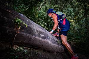 BIB: 
                            <button type="button" onclick="openModal(13519566)" class="btn btn-primary btn-sm float-right btn-popup" data-toggle="modal" data-target=".modal-high-quality">
                        <i class="fas fa-shopping-cart"></i> Add to Cart
                    </button>
                                            <button type="button" onclick="isThisMe(13519566, true)" class="btn btn-success btn-sm float-right btn-popup btn-isme hidden" data-toggle="tooltip" data-placement="bottom" title="นี่คือรูปของคุณใช่ไหม คลิกที่นี่เพื่อเอาเข้าอัลบั้ม">
                        <i class="fas fa-plus"></i> Add to album
                    </button>
                    <button type="button" onclick="isThisMe(13519566, false)" class="btn btn-warning btn-sm float-right btn-popup btn-isnotme hidden">
                        <i class="fas fa-ban"></i> Remove from album
                    </button>