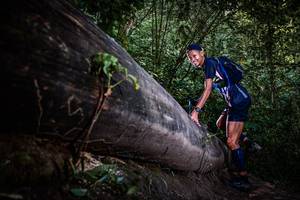 BIB: 
                            <button type="button" onclick="openModal(13519698)" class="btn btn-primary btn-sm float-right btn-popup" data-toggle="modal" data-target=".modal-high-quality">
                        <i class="fas fa-shopping-cart"></i> Add to Cart
                    </button>
                                            <button type="button" onclick="isThisMe(13519698, true)" class="btn btn-success btn-sm float-right btn-popup btn-isme hidden" data-toggle="tooltip" data-placement="bottom" title="นี่คือรูปของคุณใช่ไหม คลิกที่นี่เพื่อเอาเข้าอัลบั้ม">
                        <i class="fas fa-plus"></i> Add to album
                    </button>
                    <button type="button" onclick="isThisMe(13519698, false)" class="btn btn-warning btn-sm float-right btn-popup btn-isnotme hidden">
                        <i class="fas fa-ban"></i> Remove from album
                    </button>