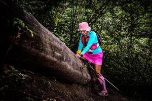 BIB: 
                            <button type="button" onclick="openModal(13525417)" class="btn btn-primary btn-sm float-right btn-popup" data-toggle="modal" data-target=".modal-high-quality">
                        <i class="fas fa-shopping-cart"></i> Add to Cart
                    </button>
                                            <button type="button" onclick="isThisMe(13525417, true)" class="btn btn-success btn-sm float-right btn-popup btn-isme hidden" data-toggle="tooltip" data-placement="bottom" title="นี่คือรูปของคุณใช่ไหม คลิกที่นี่เพื่อเอาเข้าอัลบั้ม">
                        <i class="fas fa-plus"></i> Add to album
                    </button>
                    <button type="button" onclick="isThisMe(13525417, false)" class="btn btn-warning btn-sm float-right btn-popup btn-isnotme hidden">
                        <i class="fas fa-ban"></i> Remove from album
                    </button>