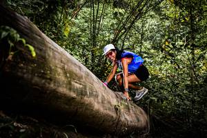 BIB: 
                            <button type="button" onclick="openModal(13525824)" class="btn btn-primary btn-sm float-right btn-popup" data-toggle="modal" data-target=".modal-high-quality">
                        <i class="fas fa-shopping-cart"></i> Add to Cart
                    </button>
                                            <button type="button" onclick="isThisMe(13525824, true)" class="btn btn-success btn-sm float-right btn-popup btn-isme hidden" data-toggle="tooltip" data-placement="bottom" title="นี่คือรูปของคุณใช่ไหม คลิกที่นี่เพื่อเอาเข้าอัลบั้ม">
                        <i class="fas fa-plus"></i> Add to album
                    </button>
                    <button type="button" onclick="isThisMe(13525824, false)" class="btn btn-warning btn-sm float-right btn-popup btn-isnotme hidden">
                        <i class="fas fa-ban"></i> Remove from album
                    </button>