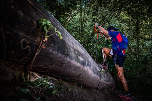 BIB: 
                            <button type="button" onclick="openModal(13519685)" class="btn btn-primary btn-sm float-right btn-popup" data-toggle="modal" data-target=".modal-high-quality">
                        <i class="fas fa-shopping-cart"></i> Add to Cart
                    </button>
                                            <button type="button" onclick="isThisMe(13519685, true)" class="btn btn-success btn-sm float-right btn-popup btn-isme hidden" data-toggle="tooltip" data-placement="bottom" title="นี่คือรูปของคุณใช่ไหม คลิกที่นี่เพื่อเอาเข้าอัลบั้ม">
                        <i class="fas fa-plus"></i> Add to album
                    </button>
                    <button type="button" onclick="isThisMe(13519685, false)" class="btn btn-warning btn-sm float-right btn-popup btn-isnotme hidden">
                        <i class="fas fa-ban"></i> Remove from album
                    </button>