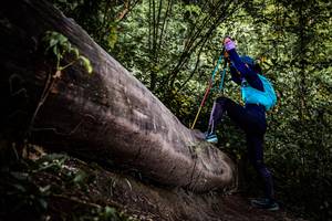 BIB: 
                            <button type="button" onclick="openModal(13523053)" class="btn btn-primary btn-sm float-right btn-popup" data-toggle="modal" data-target=".modal-high-quality">
                        <i class="fas fa-shopping-cart"></i> Add to Cart
                    </button>
                                            <button type="button" onclick="isThisMe(13523053, true)" class="btn btn-success btn-sm float-right btn-popup btn-isme hidden" data-toggle="tooltip" data-placement="bottom" title="นี่คือรูปของคุณใช่ไหม คลิกที่นี่เพื่อเอาเข้าอัลบั้ม">
                        <i class="fas fa-plus"></i> Add to album
                    </button>
                    <button type="button" onclick="isThisMe(13523053, false)" class="btn btn-warning btn-sm float-right btn-popup btn-isnotme hidden">
                        <i class="fas fa-ban"></i> Remove from album
                    </button>