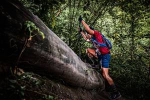 BIB: 
                            <button type="button" onclick="openModal(13523034)" class="btn btn-primary btn-sm float-right btn-popup" data-toggle="modal" data-target=".modal-high-quality">
                        <i class="fas fa-shopping-cart"></i> Add to Cart
                    </button>
                                            <button type="button" onclick="isThisMe(13523034, true)" class="btn btn-success btn-sm float-right btn-popup btn-isme hidden" data-toggle="tooltip" data-placement="bottom" title="นี่คือรูปของคุณใช่ไหม คลิกที่นี่เพื่อเอาเข้าอัลบั้ม">
                        <i class="fas fa-plus"></i> Add to album
                    </button>
                    <button type="button" onclick="isThisMe(13523034, false)" class="btn btn-warning btn-sm float-right btn-popup btn-isnotme hidden">
                        <i class="fas fa-ban"></i> Remove from album
                    </button>