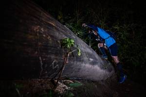 BIB: 
                            <button type="button" onclick="openModal(13517897)" class="btn btn-primary btn-sm float-right btn-popup" data-toggle="modal" data-target=".modal-high-quality">
                        <i class="fas fa-shopping-cart"></i> Add to Cart
                    </button>
                                            <button type="button" onclick="isThisMe(13517897, true)" class="btn btn-success btn-sm float-right btn-popup btn-isme hidden" data-toggle="tooltip" data-placement="bottom" title="นี่คือรูปของคุณใช่ไหม คลิกที่นี่เพื่อเอาเข้าอัลบั้ม">
                        <i class="fas fa-plus"></i> Add to album
                    </button>
                    <button type="button" onclick="isThisMe(13517897, false)" class="btn btn-warning btn-sm float-right btn-popup btn-isnotme hidden">
                        <i class="fas fa-ban"></i> Remove from album
                    </button>