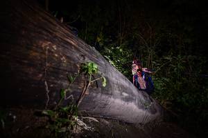 BIB: 
                            <button type="button" onclick="openModal(13517640)" class="btn btn-primary btn-sm float-right btn-popup" data-toggle="modal" data-target=".modal-high-quality">
                        <i class="fas fa-shopping-cart"></i> Add to Cart
                    </button>
                                            <button type="button" onclick="isThisMe(13517640, true)" class="btn btn-success btn-sm float-right btn-popup btn-isme hidden" data-toggle="tooltip" data-placement="bottom" title="นี่คือรูปของคุณใช่ไหม คลิกที่นี่เพื่อเอาเข้าอัลบั้ม">
                        <i class="fas fa-plus"></i> Add to album
                    </button>
                    <button type="button" onclick="isThisMe(13517640, false)" class="btn btn-warning btn-sm float-right btn-popup btn-isnotme hidden">
                        <i class="fas fa-ban"></i> Remove from album
                    </button>