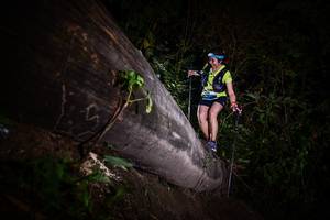 BIB: 
                            <button type="button" onclick="openModal(13518543)" class="btn btn-primary btn-sm float-right btn-popup" data-toggle="modal" data-target=".modal-high-quality">
                        <i class="fas fa-shopping-cart"></i> Add to Cart
                    </button>
                                            <button type="button" onclick="isThisMe(13518543, true)" class="btn btn-success btn-sm float-right btn-popup btn-isme hidden" data-toggle="tooltip" data-placement="bottom" title="นี่คือรูปของคุณใช่ไหม คลิกที่นี่เพื่อเอาเข้าอัลบั้ม">
                        <i class="fas fa-plus"></i> Add to album
                    </button>
                    <button type="button" onclick="isThisMe(13518543, false)" class="btn btn-warning btn-sm float-right btn-popup btn-isnotme hidden">
                        <i class="fas fa-ban"></i> Remove from album
                    </button>