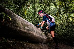 BIB: 
                            <button type="button" onclick="openModal(13525790)" class="btn btn-primary btn-sm float-right btn-popup" data-toggle="modal" data-target=".modal-high-quality">
                        <i class="fas fa-shopping-cart"></i> Add to Cart
                    </button>
                                            <button type="button" onclick="isThisMe(13525790, true)" class="btn btn-success btn-sm float-right btn-popup btn-isme hidden" data-toggle="tooltip" data-placement="bottom" title="นี่คือรูปของคุณใช่ไหม คลิกที่นี่เพื่อเอาเข้าอัลบั้ม">
                        <i class="fas fa-plus"></i> Add to album
                    </button>
                    <button type="button" onclick="isThisMe(13525790, false)" class="btn btn-warning btn-sm float-right btn-popup btn-isnotme hidden">
                        <i class="fas fa-ban"></i> Remove from album
                    </button>