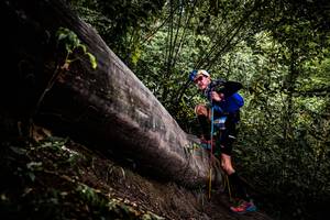 BIB: 
                            <button type="button" onclick="openModal(13525245)" class="btn btn-primary btn-sm float-right btn-popup" data-toggle="modal" data-target=".modal-high-quality">
                        <i class="fas fa-shopping-cart"></i> Add to Cart
                    </button>
                                            <button type="button" onclick="isThisMe(13525245, true)" class="btn btn-success btn-sm float-right btn-popup btn-isme hidden" data-toggle="tooltip" data-placement="bottom" title="นี่คือรูปของคุณใช่ไหม คลิกที่นี่เพื่อเอาเข้าอัลบั้ม">
                        <i class="fas fa-plus"></i> Add to album
                    </button>
                    <button type="button" onclick="isThisMe(13525245, false)" class="btn btn-warning btn-sm float-right btn-popup btn-isnotme hidden">
                        <i class="fas fa-ban"></i> Remove from album
                    </button>