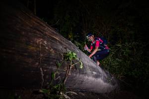 BIB: 
                            <button type="button" onclick="openModal(13517618)" class="btn btn-primary btn-sm float-right btn-popup" data-toggle="modal" data-target=".modal-high-quality">
                        <i class="fas fa-shopping-cart"></i> Add to Cart
                    </button>
                                            <button type="button" onclick="isThisMe(13517618, true)" class="btn btn-success btn-sm float-right btn-popup btn-isme hidden" data-toggle="tooltip" data-placement="bottom" title="นี่คือรูปของคุณใช่ไหม คลิกที่นี่เพื่อเอาเข้าอัลบั้ม">
                        <i class="fas fa-plus"></i> Add to album
                    </button>
                    <button type="button" onclick="isThisMe(13517618, false)" class="btn btn-warning btn-sm float-right btn-popup btn-isnotme hidden">
                        <i class="fas fa-ban"></i> Remove from album
                    </button>