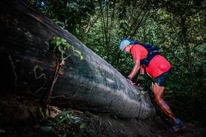 BIB: 
                            <button type="button" onclick="openModal(13519690)" class="btn btn-primary btn-sm float-right btn-popup" data-toggle="modal" data-target=".modal-high-quality">
                        <i class="fas fa-shopping-cart"></i> Add to Cart
                    </button>
                                            <button type="button" onclick="isThisMe(13519690, true)" class="btn btn-success btn-sm float-right btn-popup btn-isme hidden" data-toggle="tooltip" data-placement="bottom" title="นี่คือรูปของคุณใช่ไหม คลิกที่นี่เพื่อเอาเข้าอัลบั้ม">
                        <i class="fas fa-plus"></i> Add to album
                    </button>
                    <button type="button" onclick="isThisMe(13519690, false)" class="btn btn-warning btn-sm float-right btn-popup btn-isnotme hidden">
                        <i class="fas fa-ban"></i> Remove from album
                    </button>