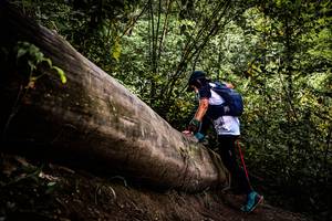 BIB: 
                            <button type="button" onclick="openModal(13525709)" class="btn btn-primary btn-sm float-right btn-popup" data-toggle="modal" data-target=".modal-high-quality">
                        <i class="fas fa-shopping-cart"></i> Add to Cart
                    </button>
                                            <button type="button" onclick="isThisMe(13525709, true)" class="btn btn-success btn-sm float-right btn-popup btn-isme hidden" data-toggle="tooltip" data-placement="bottom" title="นี่คือรูปของคุณใช่ไหม คลิกที่นี่เพื่อเอาเข้าอัลบั้ม">
                        <i class="fas fa-plus"></i> Add to album
                    </button>
                    <button type="button" onclick="isThisMe(13525709, false)" class="btn btn-warning btn-sm float-right btn-popup btn-isnotme hidden">
                        <i class="fas fa-ban"></i> Remove from album
                    </button>