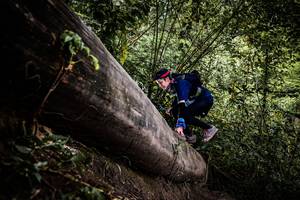 BIB: 
                            <button type="button" onclick="openModal(13523905)" class="btn btn-primary btn-sm float-right btn-popup" data-toggle="modal" data-target=".modal-high-quality">
                        <i class="fas fa-shopping-cart"></i> Add to Cart
                    </button>
                                            <button type="button" onclick="isThisMe(13523905, true)" class="btn btn-success btn-sm float-right btn-popup btn-isme hidden" data-toggle="tooltip" data-placement="bottom" title="นี่คือรูปของคุณใช่ไหม คลิกที่นี่เพื่อเอาเข้าอัลบั้ม">
                        <i class="fas fa-plus"></i> Add to album
                    </button>
                    <button type="button" onclick="isThisMe(13523905, false)" class="btn btn-warning btn-sm float-right btn-popup btn-isnotme hidden">
                        <i class="fas fa-ban"></i> Remove from album
                    </button>