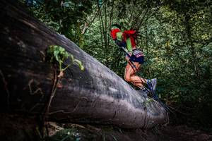 BIB: 
                            <button type="button" onclick="openModal(13519763)" class="btn btn-primary btn-sm float-right btn-popup" data-toggle="modal" data-target=".modal-high-quality">
                        <i class="fas fa-shopping-cart"></i> Add to Cart
                    </button>
                                            <button type="button" onclick="isThisMe(13519763, true)" class="btn btn-success btn-sm float-right btn-popup btn-isme hidden" data-toggle="tooltip" data-placement="bottom" title="นี่คือรูปของคุณใช่ไหม คลิกที่นี่เพื่อเอาเข้าอัลบั้ม">
                        <i class="fas fa-plus"></i> Add to album
                    </button>
                    <button type="button" onclick="isThisMe(13519763, false)" class="btn btn-warning btn-sm float-right btn-popup btn-isnotme hidden">
                        <i class="fas fa-ban"></i> Remove from album
                    </button>