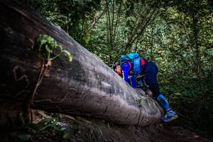 BIB: 
                            <button type="button" onclick="openModal(13519842)" class="btn btn-primary btn-sm float-right btn-popup" data-toggle="modal" data-target=".modal-high-quality">
                        <i class="fas fa-shopping-cart"></i> Add to Cart
                    </button>
                                            <button type="button" onclick="isThisMe(13519842, true)" class="btn btn-success btn-sm float-right btn-popup btn-isme hidden" data-toggle="tooltip" data-placement="bottom" title="นี่คือรูปของคุณใช่ไหม คลิกที่นี่เพื่อเอาเข้าอัลบั้ม">
                        <i class="fas fa-plus"></i> Add to album
                    </button>
                    <button type="button" onclick="isThisMe(13519842, false)" class="btn btn-warning btn-sm float-right btn-popup btn-isnotme hidden">
                        <i class="fas fa-ban"></i> Remove from album
                    </button>