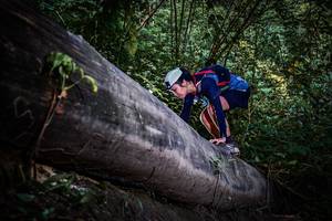 BIB: 
                            <button type="button" onclick="openModal(13519617)" class="btn btn-primary btn-sm float-right btn-popup" data-toggle="modal" data-target=".modal-high-quality">
                        <i class="fas fa-shopping-cart"></i> Add to Cart
                    </button>
                                            <button type="button" onclick="isThisMe(13519617, true)" class="btn btn-success btn-sm float-right btn-popup btn-isme hidden" data-toggle="tooltip" data-placement="bottom" title="นี่คือรูปของคุณใช่ไหม คลิกที่นี่เพื่อเอาเข้าอัลบั้ม">
                        <i class="fas fa-plus"></i> Add to album
                    </button>
                    <button type="button" onclick="isThisMe(13519617, false)" class="btn btn-warning btn-sm float-right btn-popup btn-isnotme hidden">
                        <i class="fas fa-ban"></i> Remove from album
                    </button>