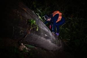 BIB: 
                            <button type="button" onclick="openModal(13518416)" class="btn btn-primary btn-sm float-right btn-popup" data-toggle="modal" data-target=".modal-high-quality">
                        <i class="fas fa-shopping-cart"></i> Add to Cart
                    </button>
                                            <button type="button" onclick="isThisMe(13518416, true)" class="btn btn-success btn-sm float-right btn-popup btn-isme hidden" data-toggle="tooltip" data-placement="bottom" title="นี่คือรูปของคุณใช่ไหม คลิกที่นี่เพื่อเอาเข้าอัลบั้ม">
                        <i class="fas fa-plus"></i> Add to album
                    </button>
                    <button type="button" onclick="isThisMe(13518416, false)" class="btn btn-warning btn-sm float-right btn-popup btn-isnotme hidden">
                        <i class="fas fa-ban"></i> Remove from album
                    </button>