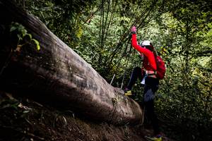 BIB: 
                            <button type="button" onclick="openModal(13525751)" class="btn btn-primary btn-sm float-right btn-popup" data-toggle="modal" data-target=".modal-high-quality">
                        <i class="fas fa-shopping-cart"></i> Add to Cart
                    </button>
                                            <button type="button" onclick="isThisMe(13525751, true)" class="btn btn-success btn-sm float-right btn-popup btn-isme hidden" data-toggle="tooltip" data-placement="bottom" title="นี่คือรูปของคุณใช่ไหม คลิกที่นี่เพื่อเอาเข้าอัลบั้ม">
                        <i class="fas fa-plus"></i> Add to album
                    </button>
                    <button type="button" onclick="isThisMe(13525751, false)" class="btn btn-warning btn-sm float-right btn-popup btn-isnotme hidden">
                        <i class="fas fa-ban"></i> Remove from album
                    </button>