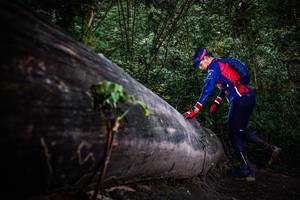 BIB: 
                            <button type="button" onclick="openModal(13519297)" class="btn btn-primary btn-sm float-right btn-popup" data-toggle="modal" data-target=".modal-high-quality">
                        <i class="fas fa-shopping-cart"></i> Add to Cart
                    </button>
                                            <button type="button" onclick="isThisMe(13519297, true)" class="btn btn-success btn-sm float-right btn-popup btn-isme hidden" data-toggle="tooltip" data-placement="bottom" title="นี่คือรูปของคุณใช่ไหม คลิกที่นี่เพื่อเอาเข้าอัลบั้ม">
                        <i class="fas fa-plus"></i> Add to album
                    </button>
                    <button type="button" onclick="isThisMe(13519297, false)" class="btn btn-warning btn-sm float-right btn-popup btn-isnotme hidden">
                        <i class="fas fa-ban"></i> Remove from album
                    </button>