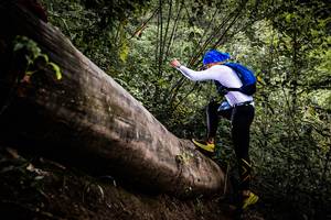 BIB: 
                            <button type="button" onclick="openModal(13525755)" class="btn btn-primary btn-sm float-right btn-popup" data-toggle="modal" data-target=".modal-high-quality">
                        <i class="fas fa-shopping-cart"></i> Add to Cart
                    </button>
                                            <button type="button" onclick="isThisMe(13525755, true)" class="btn btn-success btn-sm float-right btn-popup btn-isme hidden" data-toggle="tooltip" data-placement="bottom" title="นี่คือรูปของคุณใช่ไหม คลิกที่นี่เพื่อเอาเข้าอัลบั้ม">
                        <i class="fas fa-plus"></i> Add to album
                    </button>
                    <button type="button" onclick="isThisMe(13525755, false)" class="btn btn-warning btn-sm float-right btn-popup btn-isnotme hidden">
                        <i class="fas fa-ban"></i> Remove from album
                    </button>