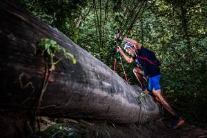 BIB: 
                            <button type="button" onclick="openModal(13519743)" class="btn btn-primary btn-sm float-right btn-popup" data-toggle="modal" data-target=".modal-high-quality">
                        <i class="fas fa-shopping-cart"></i> Add to Cart
                    </button>
                                            <button type="button" onclick="isThisMe(13519743, true)" class="btn btn-success btn-sm float-right btn-popup btn-isme hidden" data-toggle="tooltip" data-placement="bottom" title="นี่คือรูปของคุณใช่ไหม คลิกที่นี่เพื่อเอาเข้าอัลบั้ม">
                        <i class="fas fa-plus"></i> Add to album
                    </button>
                    <button type="button" onclick="isThisMe(13519743, false)" class="btn btn-warning btn-sm float-right btn-popup btn-isnotme hidden">
                        <i class="fas fa-ban"></i> Remove from album
                    </button>