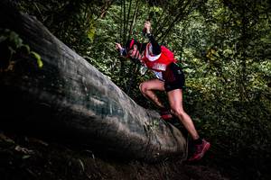 BIB: 
                            <button type="button" onclick="openModal(13525578)" class="btn btn-primary btn-sm float-right btn-popup" data-toggle="modal" data-target=".modal-high-quality">
                        <i class="fas fa-shopping-cart"></i> Add to Cart
                    </button>
                                            <button type="button" onclick="isThisMe(13525578, true)" class="btn btn-success btn-sm float-right btn-popup btn-isme hidden" data-toggle="tooltip" data-placement="bottom" title="นี่คือรูปของคุณใช่ไหม คลิกที่นี่เพื่อเอาเข้าอัลบั้ม">
                        <i class="fas fa-plus"></i> Add to album
                    </button>
                    <button type="button" onclick="isThisMe(13525578, false)" class="btn btn-warning btn-sm float-right btn-popup btn-isnotme hidden">
                        <i class="fas fa-ban"></i> Remove from album
                    </button>