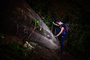 BIB: 
                            <button type="button" onclick="openModal(13518781)" class="btn btn-primary btn-sm float-right btn-popup" data-toggle="modal" data-target=".modal-high-quality">
                        <i class="fas fa-shopping-cart"></i> Add to Cart
                    </button>
                                            <button type="button" onclick="isThisMe(13518781, true)" class="btn btn-success btn-sm float-right btn-popup btn-isme hidden" data-toggle="tooltip" data-placement="bottom" title="นี่คือรูปของคุณใช่ไหม คลิกที่นี่เพื่อเอาเข้าอัลบั้ม">
                        <i class="fas fa-plus"></i> Add to album
                    </button>
                    <button type="button" onclick="isThisMe(13518781, false)" class="btn btn-warning btn-sm float-right btn-popup btn-isnotme hidden">
                        <i class="fas fa-ban"></i> Remove from album
                    </button>