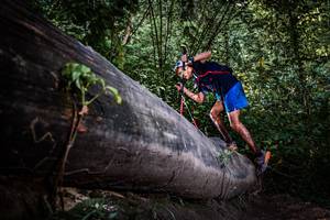 BIB: 
                            <button type="button" onclick="openModal(13519741)" class="btn btn-primary btn-sm float-right btn-popup" data-toggle="modal" data-target=".modal-high-quality">
                        <i class="fas fa-shopping-cart"></i> Add to Cart
                    </button>
                                            <button type="button" onclick="isThisMe(13519741, true)" class="btn btn-success btn-sm float-right btn-popup btn-isme hidden" data-toggle="tooltip" data-placement="bottom" title="นี่คือรูปของคุณใช่ไหม คลิกที่นี่เพื่อเอาเข้าอัลบั้ม">
                        <i class="fas fa-plus"></i> Add to album
                    </button>
                    <button type="button" onclick="isThisMe(13519741, false)" class="btn btn-warning btn-sm float-right btn-popup btn-isnotme hidden">
                        <i class="fas fa-ban"></i> Remove from album
                    </button>