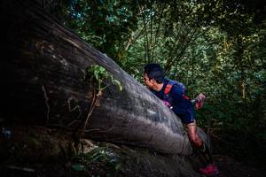 BIB: 
                            <button type="button" onclick="openModal(13519395)" class="btn btn-primary btn-sm float-right btn-popup" data-toggle="modal" data-target=".modal-high-quality">
                        <i class="fas fa-shopping-cart"></i> Add to Cart
                    </button>
                                            <button type="button" onclick="isThisMe(13519395, true)" class="btn btn-success btn-sm float-right btn-popup btn-isme hidden" data-toggle="tooltip" data-placement="bottom" title="นี่คือรูปของคุณใช่ไหม คลิกที่นี่เพื่อเอาเข้าอัลบั้ม">
                        <i class="fas fa-plus"></i> Add to album
                    </button>
                    <button type="button" onclick="isThisMe(13519395, false)" class="btn btn-warning btn-sm float-right btn-popup btn-isnotme hidden">
                        <i class="fas fa-ban"></i> Remove from album
                    </button>