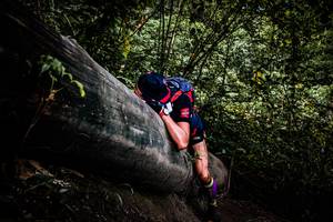 BIB: 
                            <button type="button" onclick="openModal(13525431)" class="btn btn-primary btn-sm float-right btn-popup" data-toggle="modal" data-target=".modal-high-quality">
                        <i class="fas fa-shopping-cart"></i> Add to Cart
                    </button>
                                            <button type="button" onclick="isThisMe(13525431, true)" class="btn btn-success btn-sm float-right btn-popup btn-isme hidden" data-toggle="tooltip" data-placement="bottom" title="นี่คือรูปของคุณใช่ไหม คลิกที่นี่เพื่อเอาเข้าอัลบั้ม">
                        <i class="fas fa-plus"></i> Add to album
                    </button>
                    <button type="button" onclick="isThisMe(13525431, false)" class="btn btn-warning btn-sm float-right btn-popup btn-isnotme hidden">
                        <i class="fas fa-ban"></i> Remove from album
                    </button>