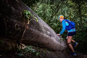 BIB: 
                            <button type="button" onclick="openModal(13519797)" class="btn btn-primary btn-sm float-right btn-popup" data-toggle="modal" data-target=".modal-high-quality">
                        <i class="fas fa-shopping-cart"></i> Add to Cart
                    </button>
                                            <button type="button" onclick="isThisMe(13519797, true)" class="btn btn-success btn-sm float-right btn-popup btn-isme hidden" data-toggle="tooltip" data-placement="bottom" title="นี่คือรูปของคุณใช่ไหม คลิกที่นี่เพื่อเอาเข้าอัลบั้ม">
                        <i class="fas fa-plus"></i> Add to album
                    </button>
                    <button type="button" onclick="isThisMe(13519797, false)" class="btn btn-warning btn-sm float-right btn-popup btn-isnotme hidden">
                        <i class="fas fa-ban"></i> Remove from album
                    </button>