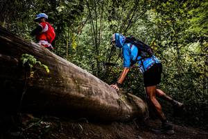 BIB: 
                            <button type="button" onclick="openModal(13525914)" class="btn btn-primary btn-sm float-right btn-popup" data-toggle="modal" data-target=".modal-high-quality">
                        <i class="fas fa-shopping-cart"></i> Add to Cart
                    </button>
                                            <button type="button" onclick="isThisMe(13525914, true)" class="btn btn-success btn-sm float-right btn-popup btn-isme hidden" data-toggle="tooltip" data-placement="bottom" title="นี่คือรูปของคุณใช่ไหม คลิกที่นี่เพื่อเอาเข้าอัลบั้ม">
                        <i class="fas fa-plus"></i> Add to album
                    </button>
                    <button type="button" onclick="isThisMe(13525914, false)" class="btn btn-warning btn-sm float-right btn-popup btn-isnotme hidden">
                        <i class="fas fa-ban"></i> Remove from album
                    </button>