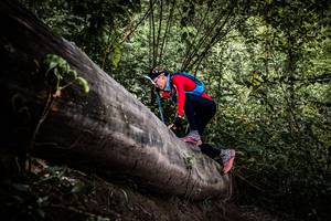 BIB: 
                            <button type="button" onclick="openModal(13523018)" class="btn btn-primary btn-sm float-right btn-popup" data-toggle="modal" data-target=".modal-high-quality">
                        <i class="fas fa-shopping-cart"></i> Add to Cart
                    </button>
                                            <button type="button" onclick="isThisMe(13523018, true)" class="btn btn-success btn-sm float-right btn-popup btn-isme hidden" data-toggle="tooltip" data-placement="bottom" title="นี่คือรูปของคุณใช่ไหม คลิกที่นี่เพื่อเอาเข้าอัลบั้ม">
                        <i class="fas fa-plus"></i> Add to album
                    </button>
                    <button type="button" onclick="isThisMe(13523018, false)" class="btn btn-warning btn-sm float-right btn-popup btn-isnotme hidden">
                        <i class="fas fa-ban"></i> Remove from album
                    </button>