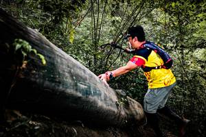 BIB: 
                            <button type="button" onclick="openModal(13525835)" class="btn btn-primary btn-sm float-right btn-popup" data-toggle="modal" data-target=".modal-high-quality">
                        <i class="fas fa-shopping-cart"></i> Add to Cart
                    </button>
                                            <button type="button" onclick="isThisMe(13525835, true)" class="btn btn-success btn-sm float-right btn-popup btn-isme hidden" data-toggle="tooltip" data-placement="bottom" title="นี่คือรูปของคุณใช่ไหม คลิกที่นี่เพื่อเอาเข้าอัลบั้ม">
                        <i class="fas fa-plus"></i> Add to album
                    </button>
                    <button type="button" onclick="isThisMe(13525835, false)" class="btn btn-warning btn-sm float-right btn-popup btn-isnotme hidden">
                        <i class="fas fa-ban"></i> Remove from album
                    </button>